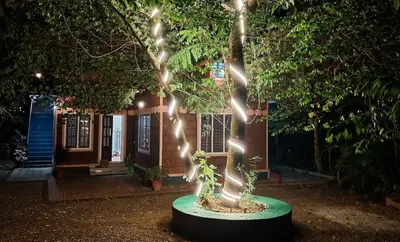 a tree with lights on it in front of a house at Wayanad One in Wayanad