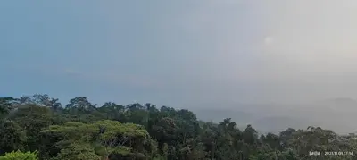 a forest filled with lots of trees on top at View Point Stay Coorg in Madikeri