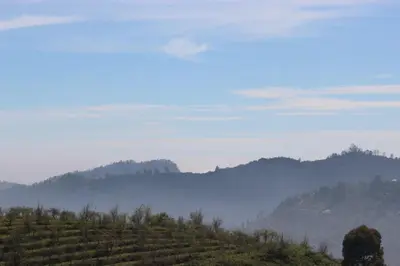 a view of a hillside with fog in the valley at THE DEW stay Three bedroom villa in Kodaikānāl