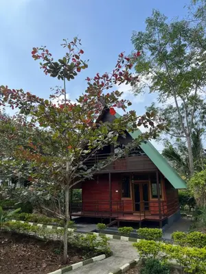 a small wooden house with a green roof at Jungle flare in Hampāpura