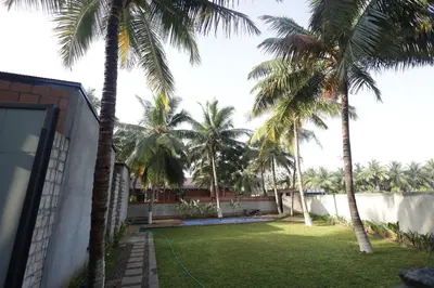 a yard with palm trees next to a house at Rustic Nestle, Tirupur in Tiruppūr