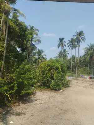 a dirt road with palm trees on a beach at Thrikarthika appartments in Guruvāyūr