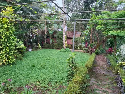a garden with green plants and a pergola at greenview homestay Mayyil in Parassinikadavu