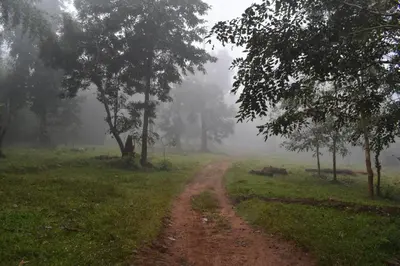 a dirt road in the middle of a field with trees at Green Heaven Kuruva Wayanad in Chekadi