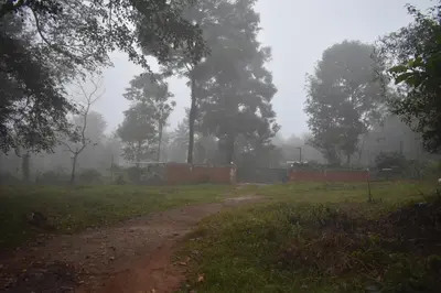 a dirt road in a field in the fog at Green Heaven Kuruva Wayanad in Chekadi