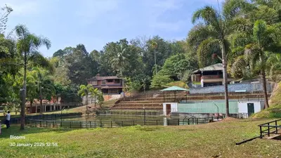 a view of a resort with palm trees and stairs at Stone Villa in Blooms Green Farm in Wayanad