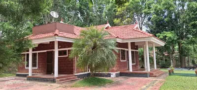 a small house with a palm tree in front of it at Blooms Aquatica in Kenichira