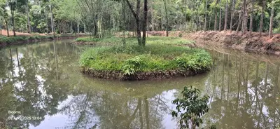a small island in the middle of a river at Blooms Aquatica in Kenichira