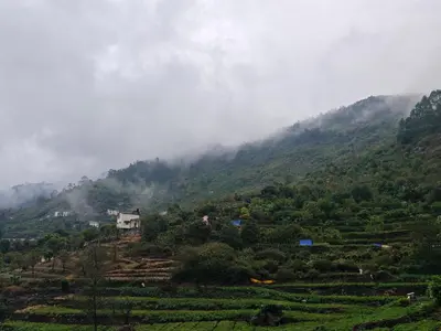 a misty mountain with a farm in the middle of a field at Jazz&Hill in Kodaikānāl