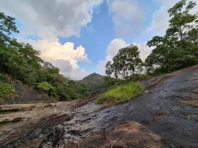 a dirt road with trees on the side of a mountain at Diya Homestay Mamalakandam in Mamalakandam