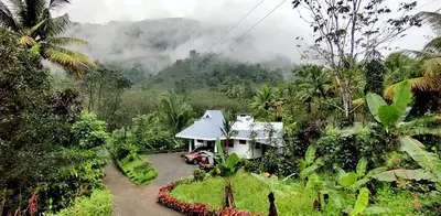 a small house in the middle of a forest at Diya Homestay Mamalakandam in Mamalakandam