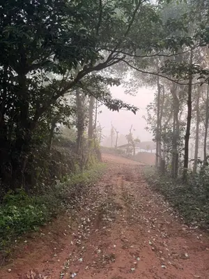 a dirt road in the middle of a forest at Pragathi Homestay in Mananthavady