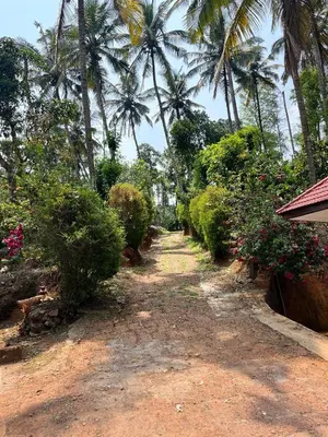 a dirt road with palm trees and bushes at Pragathi Homestay in Mananthavady