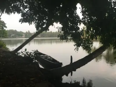 a boat sitting on a lake with a tree at Peaceful perch in Kozhikode