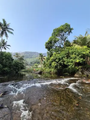 a river with rapids in the middle of a forest at Mamalakandam - The White house, Diya homestay in Mamalakandam
