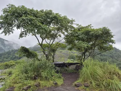 two trees and a bench on a hill with mountains at Mamalakandam - The White house, Diya homestay in Mamalakandam