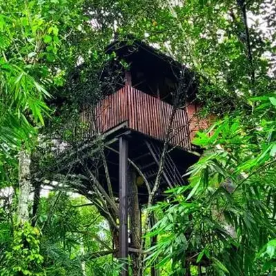 Greens Tree House & Wood House