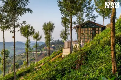 a house on the side of a hill with trees at StayVista at Under the Stars Lovedale ooty in Ooty