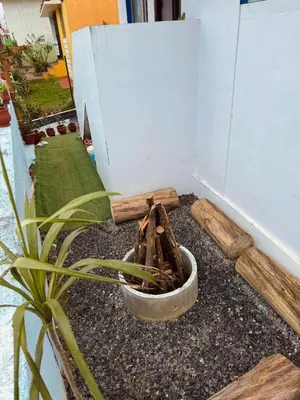 a plant in a pot sitting next to a wall at Urban Lush in Ooty