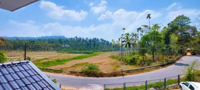 a view of a road with a palm tree at Sands Villa Homestay in Wayanad