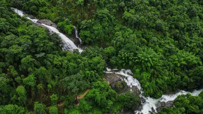 an aerial view of a waterfall in a forest at KiwiOz Villa in Thamarassery
