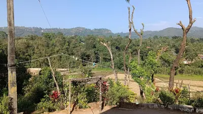 a view of a garden with trees in the background at Ammavvana Kutira Home stay in Madikeri