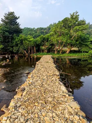 a river with a rocky shore with trees in the background at Milu Homes in Thirunelli