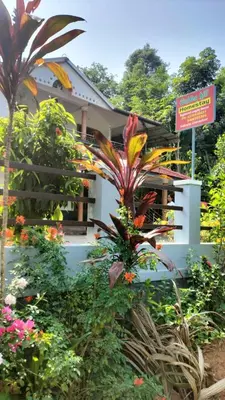 a garden with flowers in front of a building at VELLAKUZHY Homestay Wayanad in Wayanad