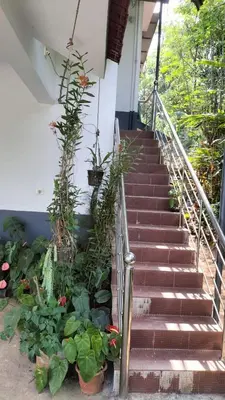 a stairway with potted plants and flowers at VELLAKUZHY Homestay Wayanad in Wayanad