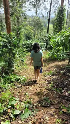 a woman walking down a trail in the woods at Coorgglade in Kakkabe