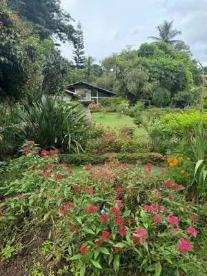 a garden with pink flowers in a park at The School Estate in 100 Acres in Siddapur