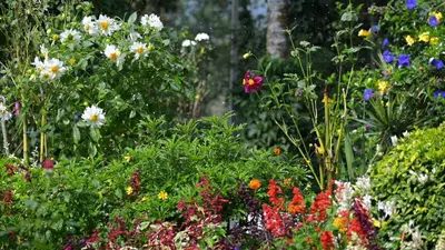a garden filled with lots of colorful flowers at The School Estate in 100 Acres in Siddapur