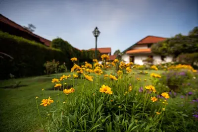 a field of yellow and purple flowers in a yard at The School Estate in 100 Acres in Siddapur