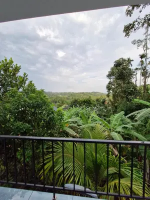 a view of a forest from a balcony at Parthees Homestay in Meppādi