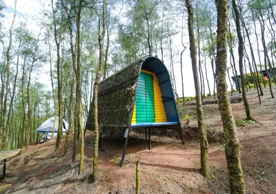 a tent in the middle of the woods at Whispering Hills Pine Malhar Pool & Tent Attappadi by VOYE HOMES in Attappādi