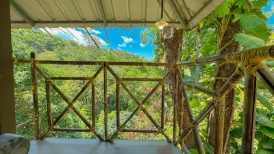 a view from the inside of a room with a tree at The Heights Munnar in Munnar
