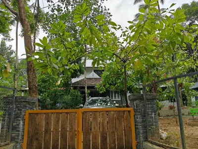 a wooden gate in front of a house at Rainy Woods Inn in Neriyamangalam