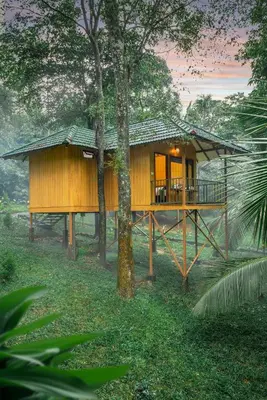 a tree house in the middle of a forest at De Spicewoods, AC Cabin, Pool, Couple only in Kalpetta