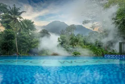 a swimming pool in the middle of a forest with a mountain at De Spicewoods, AC Cabin, Pool, Couple only in Kalpetta