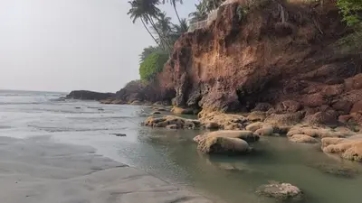 a herd of sheep laying in the water on a beach at Peaceful Homestay near Kizhunna Beach in Thottada