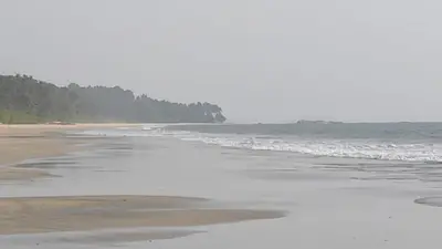 a beach with the ocean and the shoreline at Peaceful Homestay near Kizhunna Beach in Thottada