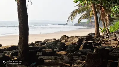 a rocky beach with palm trees and the ocean at Peaceful Homestay near Kizhunna Beach in Thottada