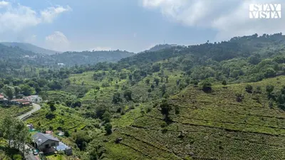 an aerial view of a valley of tea plantations at StayVista at Ambrosia access to water stream in Kotagiri