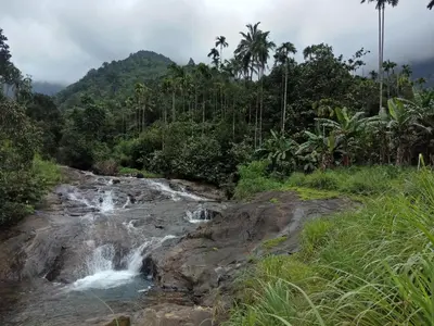 a river in the middle of a jungle with a waterfall at Vanilla Farms in Koroth