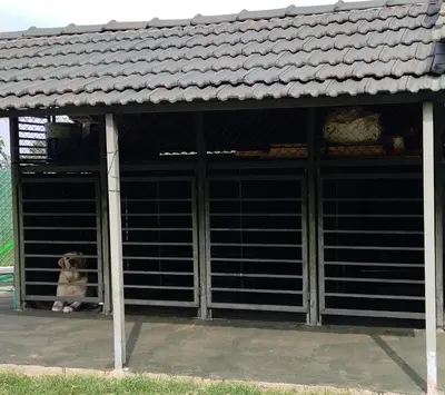 a dog is sitting in a dog house at Hidden Haven 1BR Coorg in Kushālnagar