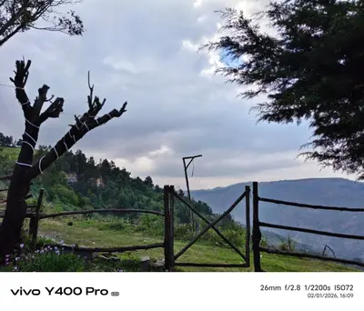 a fence next to a field with a tree at Hills Dale ooty 3 bhk vintage tea estate villa in Ooty