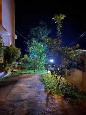 a street at night with trees and a building at Alpine Zenith - Luxury Wooden Cottages in Meppādi