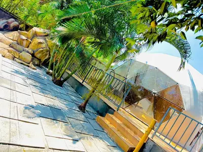 a wooden bench next to some palm trees at Rivergreen resort in Athirappally