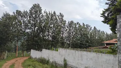 a fence next to a dirt road with trees at Eagles Nest in Dimbam