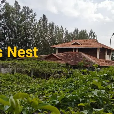 Eagles Nest